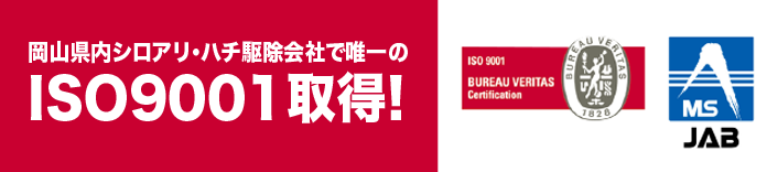 岡山県内シロアリ・ハチ駆除会社で唯一のISO9001取得。ハチ駆除のことならハチ駆除のサンアメマンにおまかせください。