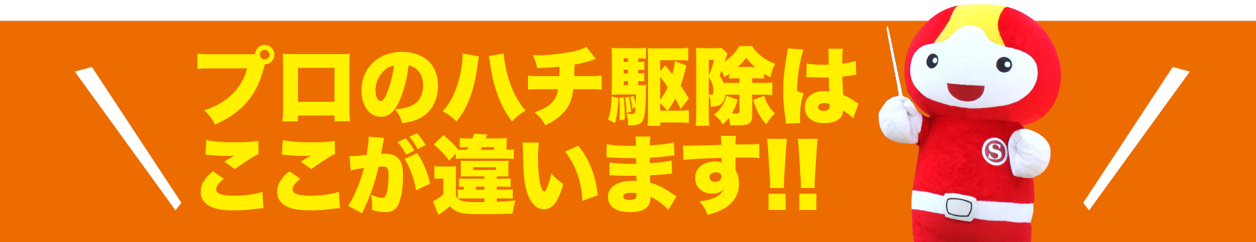 プロのハチ駆除はここが違います
