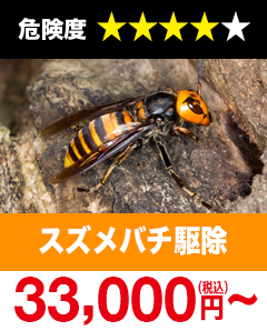 スズメバチ駆除33,000円(税込)