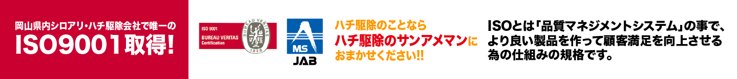 岡山県内シロアリ・ハチ駆除会社で唯一のISO9001取得。ハチ駆除のことならハチ駆除のサンアメマンにおまかせください。