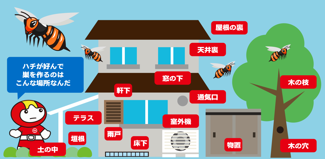 ハチが好んで巣を作るのはこんな場所なんだ、土の中、テラス、垣根、軒下、雨戸、床下、窓の下、通気口、室外機、屋根の裏、木の枝、木の穴、置物、窓の下