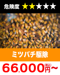 ミツバチ駆除55,000円(税込)